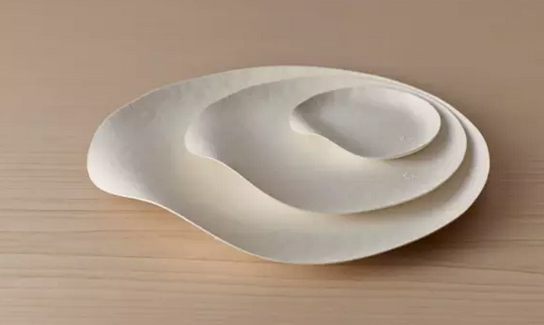 一次性餐具竟然美得像藝術(shù)品?。?）.png
